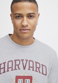 Grijze sweatshirt met de tekst "HARVARD" in vet maroon lettering, met een crestontwerp in het midden. Zachte katoenen textuur en ronde hals.