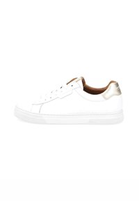 Witte leren sneaker met een gladde textuur, ronde neus, gouden accent bij de hak en een witte rubberen zool. Vetersluiting, minimalistische stijl.