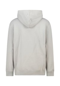Hoodie grigio chiaro con vestibilità rilassata, dotato di un grande cappuccio, maniche lunghe e una texture morbida e liscia. Nessun motivo o dettaglio visibile.