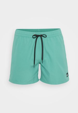 Meeste ujumispüksid ühtlases mündirohelises värvitoonis, valmistatud kergest kangast. Omab elastset vööd musta paelaga ja külge õmmeldud logo sildiga.