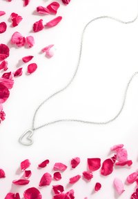 Sofia Milani HEART - Halskette - silver coloured