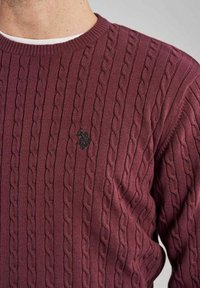 U.S. Polo Assn. ARCHI - Džemperis - port royale