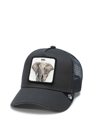 Black baseball cap with mesh back, featuring a square patch with an embroidered elephant and the word "BIG" above.