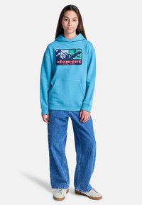 Sweat à capuche turquoise avec un motif graphique représentant des montagnes, un lézard, et le mot « element ». Poche kangourou à l'avant.