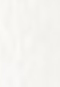 Tissu blanc uni avec une texture lisse, des motifs minimaux et un éclat doux, adapté à une variété d'applications vestimentaires ou textiles.