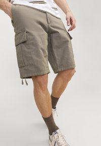 Jack & Jones JPSTCOLE BARKLEY SHORTS - Shorts - bungee cord