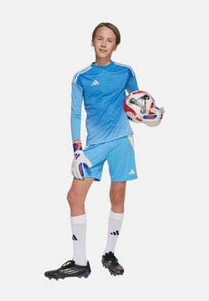 Blaue Torwarttrikot mit strukturiertem Muster, passende blaue Shorts, weiße Socken, schwarze Fußballschuhe und hält einen rot-weißen Fußball.