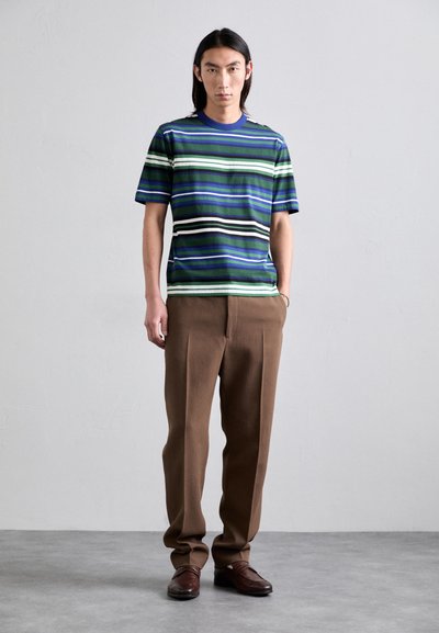 T-shirt rayé en vert, bleu et blanc, porté avec un pantalon marron ; caractéristiques : manches courtes, col rond et coupe décontractée.