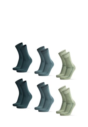 6-PACK  - Socks - green