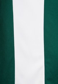 adidas Performance ENTRADA 18 FUSSBALLTRIKOT HERREN - T-shirt basique - dark green