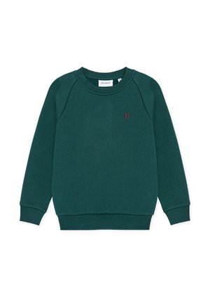 Grüner Sweatshirt mit Rundhalsausschnitt, gerippten Bündchen und Saum. Auf der Vorderseite befindet sich ein kleines rotes "II"-Logo. Hergestellt aus weichem Stoff mit glatter Textur.