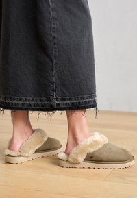 Neselectat, antilope