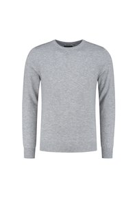 Lichtgrijze trui van zacht materiaal, met een ronde halslijn, lange mouwen en geribbelde manchetten en onderkant. Geen zichtbare patronen of accenten.