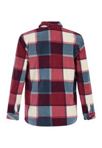 Rood, marineblauw en crèmekleurig geruite flanellen shirt. Lange mouwen met knoopsluiting, rechte kraag en zachte, gestructureerde stof.