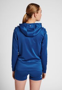 Blaues sportliches Hoodie mit langen Ärmeln und einer Kängurutasche, aus glattem Stoff gefertigt. Mit Logo und weißen Akzenten an den Ärmeln.