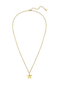 Zelts griezts ķēdes kaklarota ar mazu zvaigžņu formas piekariņu, kas ir ar gludu virsmu un aizdari ar asti. Regulējama garuma.