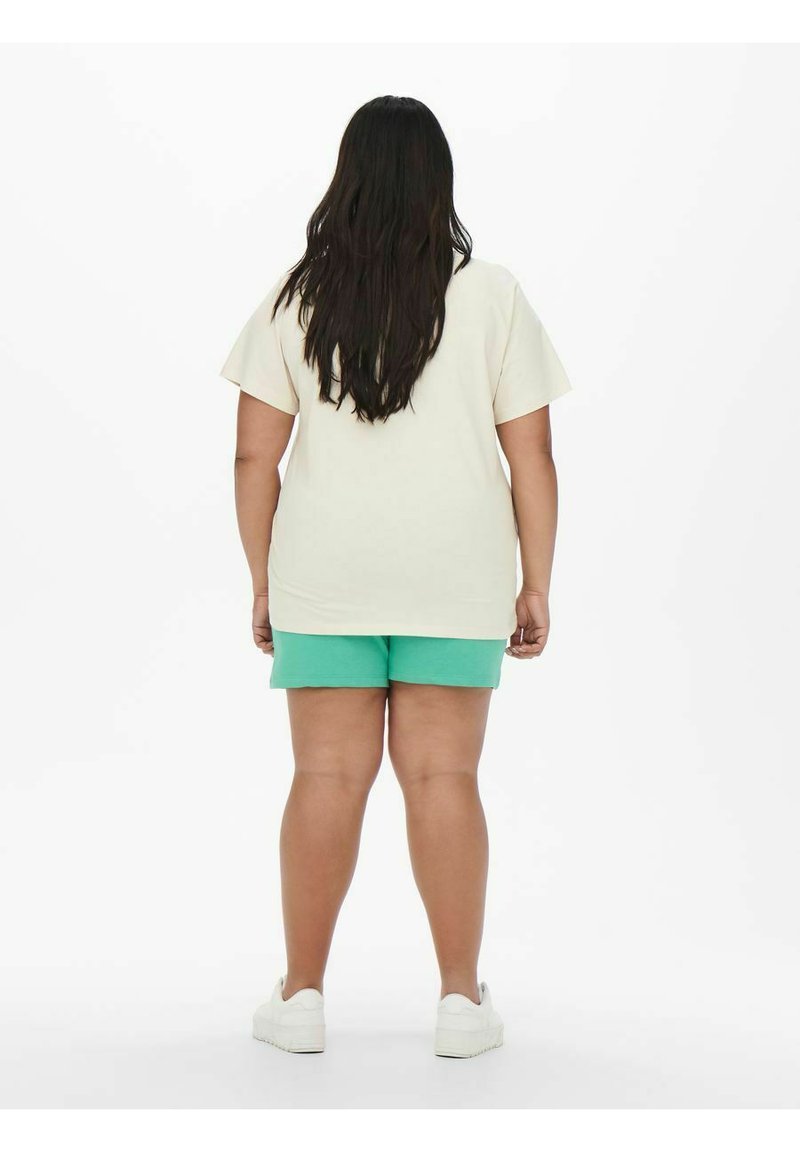 Damen T-Shirts | ONLY Carmakoma CURVY REG V-AUSSCHNITT- T-Shirt print moonbeam/offwhite - BO04454 Damen T-Shirts | ONLY Carmakoma CURVY REG V-AUSSCHNITT- T-Shirt print moonbeam/offwhite - BO04454