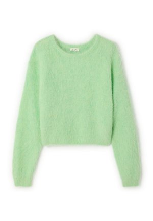 Mintgroene cropped trui gemaakt van zacht, pluizig materiaal met een ronde halslijn en lange mouwen. Minimalistisch ontwerp, zonder zichtbare patronen of details.