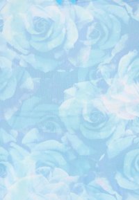 Tissu bleu doux avec un motif subtil de grandes roses translucides créant un dessin floral délicat.