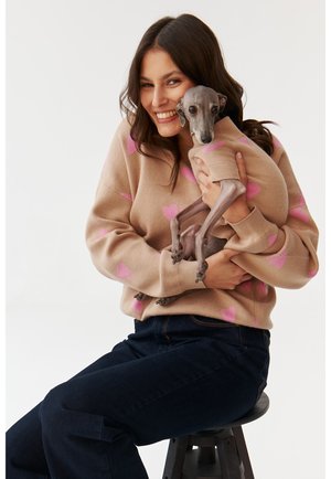 Beige trui met roze hartpatronen en ribbelsinversies, gedragen door een persoon die een kleine, grijze hond vasthoudt. Donkerblauwe jeans en een zwarte kruk zichtbaar.