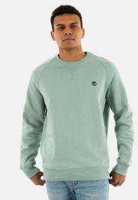 Sudadera verde claro hecha de mezcla de algod�ón, con un cuello redondo, puños acanalados y un pequeño logo bordado en el pecho.
