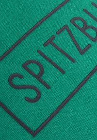 Grüner Stoff mit einer strukturierten Oberfläche, auf dem in fetten schwarzen Buchstaben "SPITZBUCH" steht, umrahmt von einem rechteckigen Rahmen.