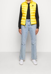 Blauer Vesta - yellow