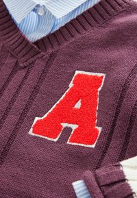 Fioletowy dzianinowy sweter z czerwoną terry naszywką w kształcie litery "A". Z dekoltem w serek, prążkowanym kołnierzem i detalami, nałożony na niebieską w paski koszulę.