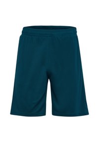 FLEX - Korte sportsbukser - reflecting pond