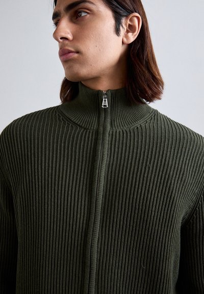 Jauns cilvēks ar vidēji gariem brūniem matiem, uzvilcis tumši zaļu ribotu džemperi ar rāvējslēdzēju, skatās pa kreisi pret vienkāršu gaismas fona.