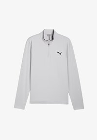 Pasirinkta, platino gray