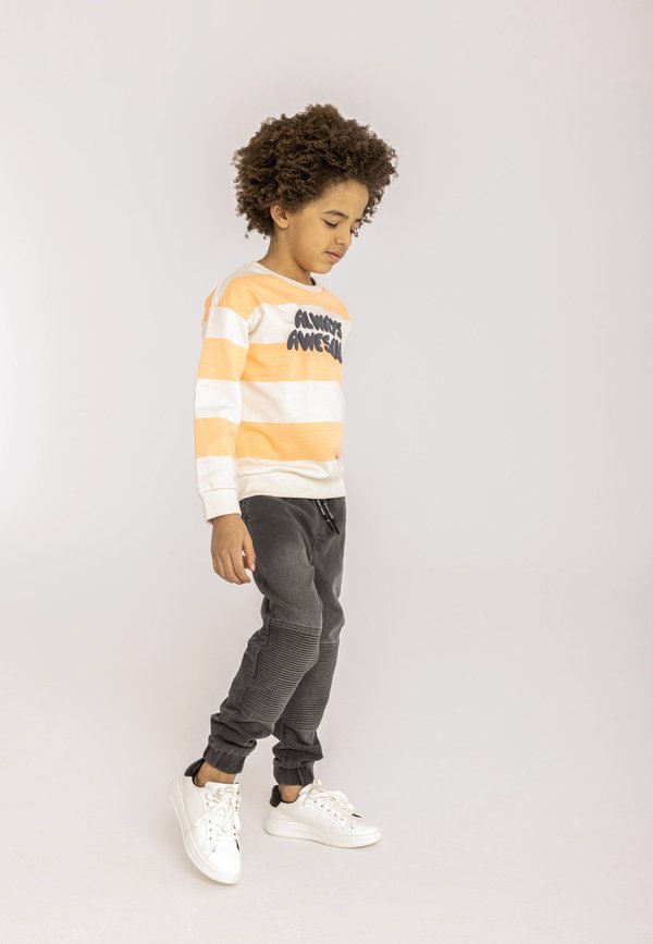 STRIPED LONG SLEEVE - Sweatshirt