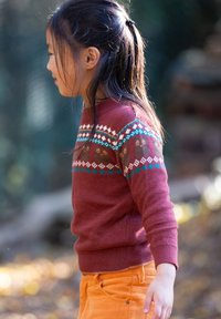 Roter Strickpullover mit einem gemusterten Ausschnitt, der türkisfarbene und weiße Akzente zeigt, getragen mit orangen Cordhosen, die ein Seitenprofil zeigen.