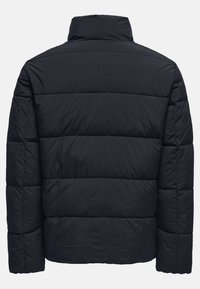 Black puffer jacket with a high collar, quilted pattern, and long sleeves. Made of smooth, lightweight fabric, suitable for cold weather.