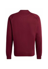 Plain maroon long-sleeve sweatshirt with ribbed cuffs and hem, shown from the back on a white background.
