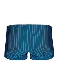 Blaue Bade shorts mit glatter Textur, vertikalen weißen Nadelstreifen und einem minimalistischen Design mit elastischem Bund.