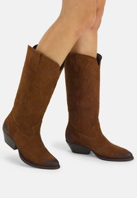 Stivali da cowboy in camoscio marrone con punta appuntita e tacco basso. Presentano una cucitura decorativa lungo il gambale e un design leggermente sfilato.