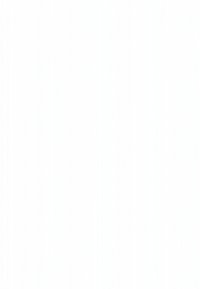 Witte keramische vaas met een gladde, glanzende afwerking, langwerpige ovale vorm en subtiele textuurpatronen, geschikt voor bloemstukken.