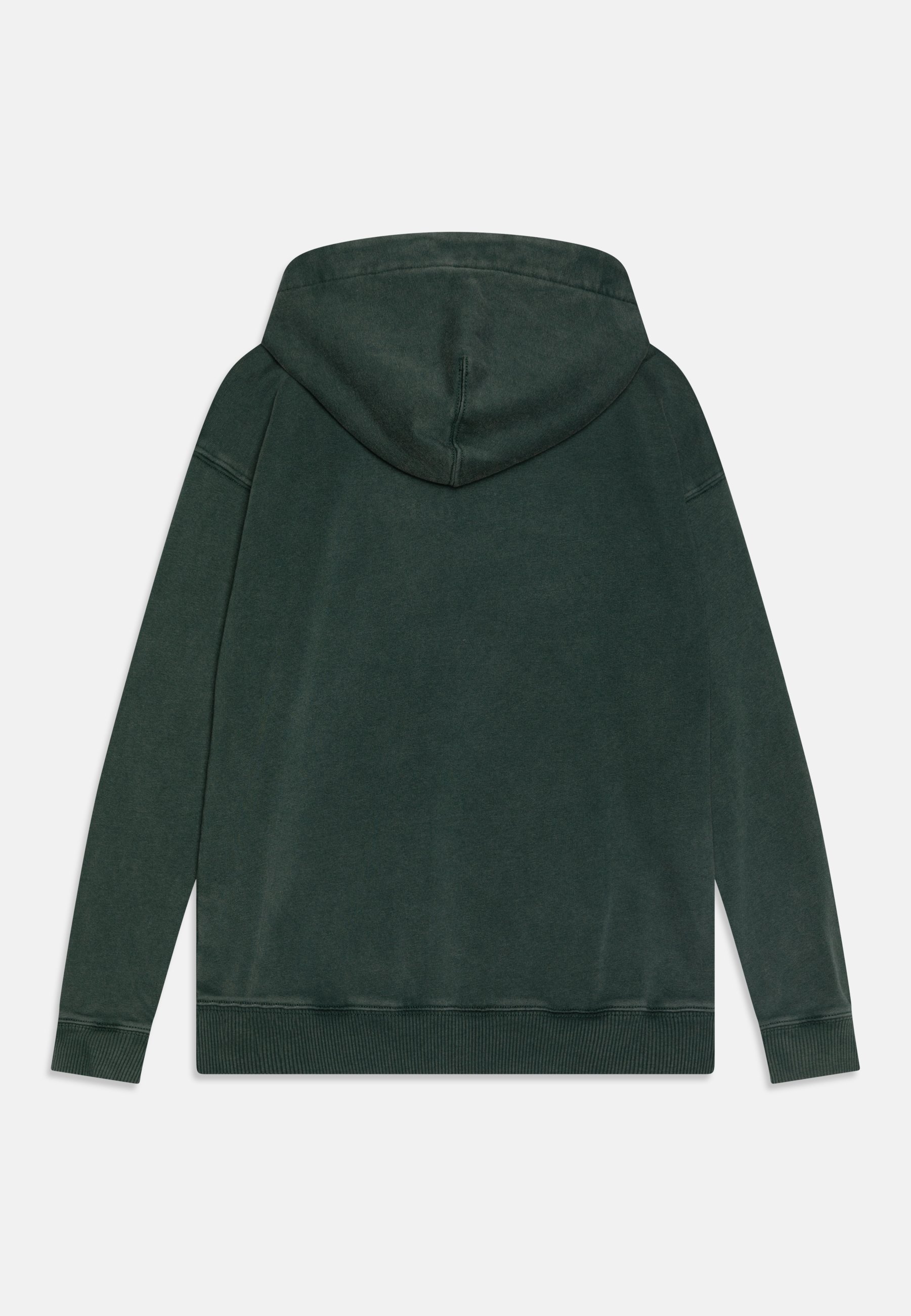 Abercrombie & Fitch LOGO - Hoodie - green wash/multi-coloured