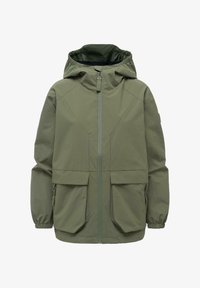 Seleccionado, olive leaf