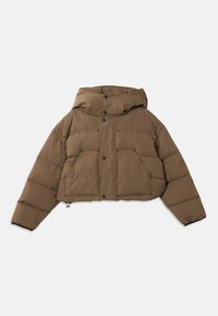 ICON UTILITY PUFFER - Untuvatakki - toupe