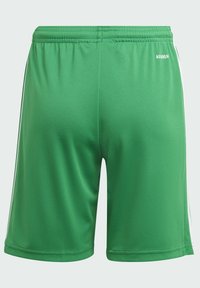 Groene sportshorts van gladde stof, met een elastische tailleband, witte zijstrepen en een logo op de achterkant.