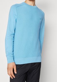 Helles blaues Pullover-Sweatshirt mit strukturiertem Strickdesign, gerippten Bündchen und Saum, das ein kleines Logo im Bereich der linken Brust aufweist.