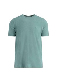 Mint green short-sleeve T-shirt made of soft fabric. Features a round neckline and a small logo on the chest. Classic, relaxed fit.