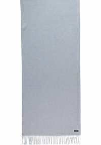 Écharpe grise claire en tissu doux, dotée de bords à franges. Forme rectangulaire avec une texture sans couture, adaptée à divers styles.