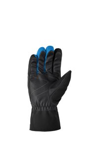 Black waterproof glove featuring blue accents, textured palm, and elastic cuff for secure fit. Suitable for outdoor activities in cold weather.