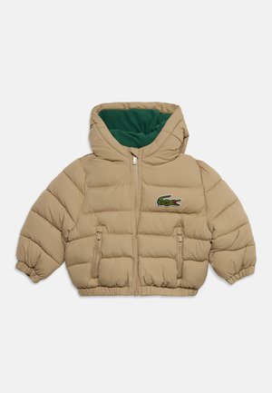Veste beige matelassée pour tout-petit avec capuche, fermeture éclair frontale, deux poches zippées et logo crocodile vert sur la poitrine, doublure verte de la capuche.