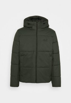 Veste d'hiver - green