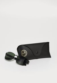 Ochelari de soare cu lentile verzi închise, ramă metalică neagră și carcasă protectoare texturată neagră cu un logo auriu.
