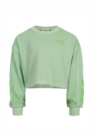 Lichtgroene cropped sweatshirt met lange mouwen, geribbelde manchetten, kleine groene tekst op de borst en groene schelpenborduursels op de mouwen.